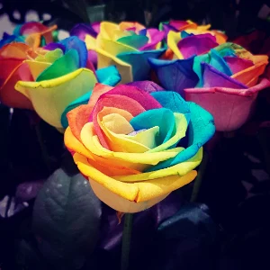 Helping different gender identities to blossom Helping different gender identities to blossom