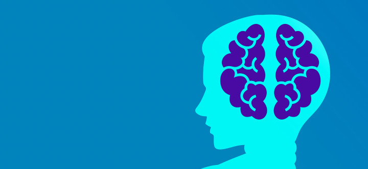 Researchers explore how our brains analyze phonetic information, recognize patterns, and extract meaning from the sounds and rhythms of speech. Researchers explore how our brains analyze phonetic information, recognize patterns, and extract meaning from the sounds and rhythms of speech.