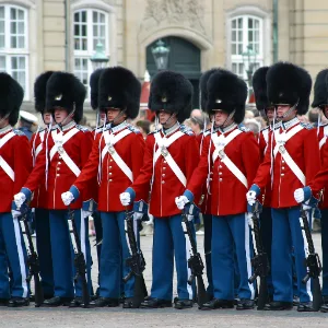 The tall bearskin hats of the queen's guard The tall bearskin hats of the queen's guard