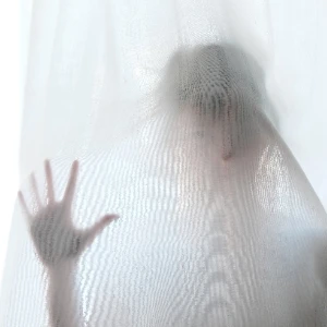 Only Barnum - Nothing paranormal Only Barnum - Nothing paranormal