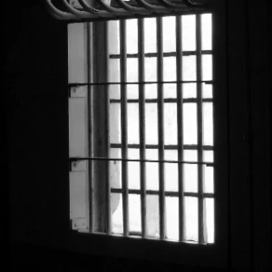 Commited to the cause - Jail time no concern Commited to the cause - Jail time no concern