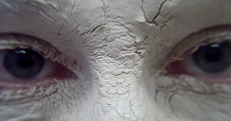 The eyes of the predator